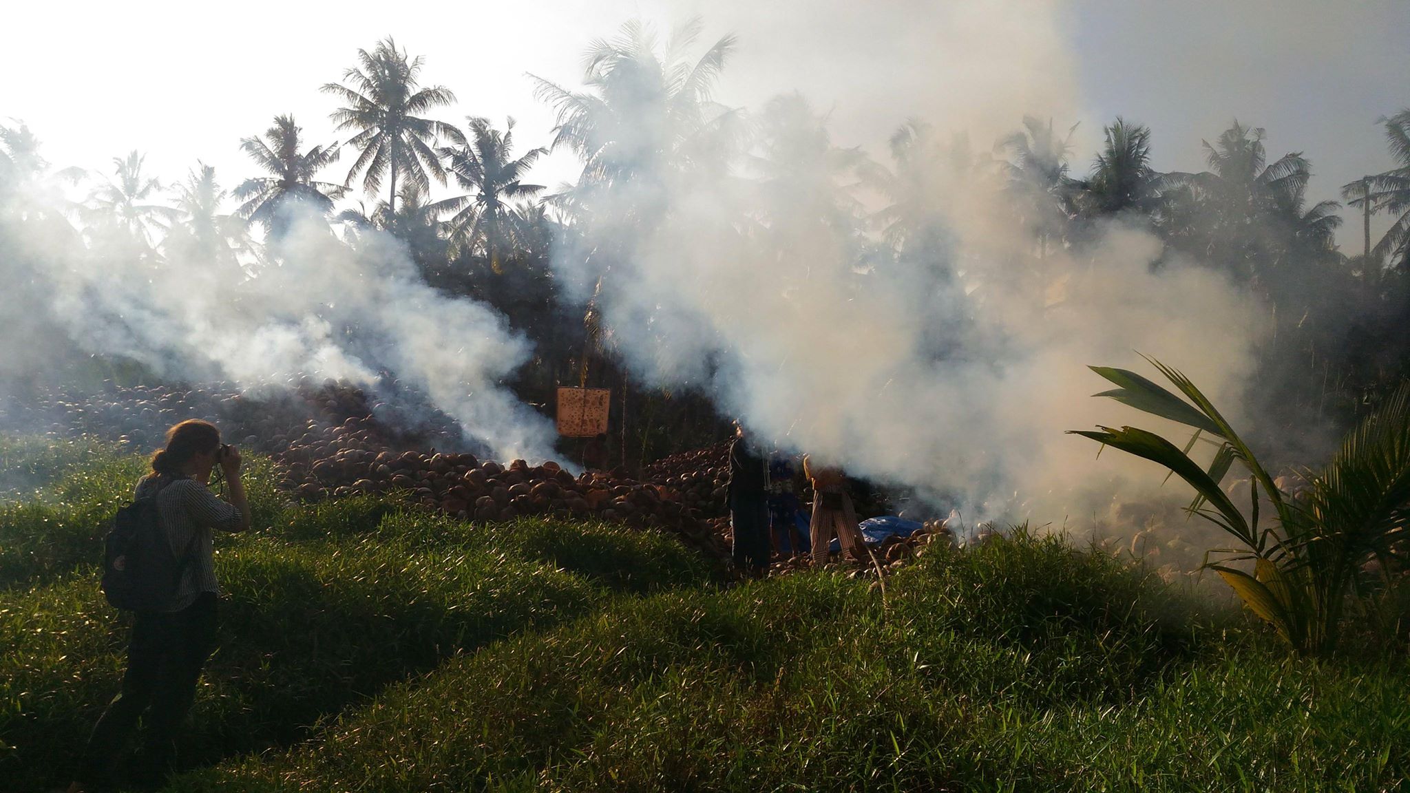 person standing in a field with palmtrees in the background and smoke coming from the ground. Photo.